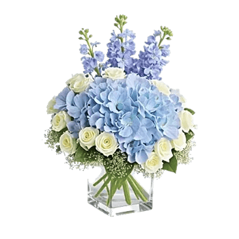Azure Sky Blooms