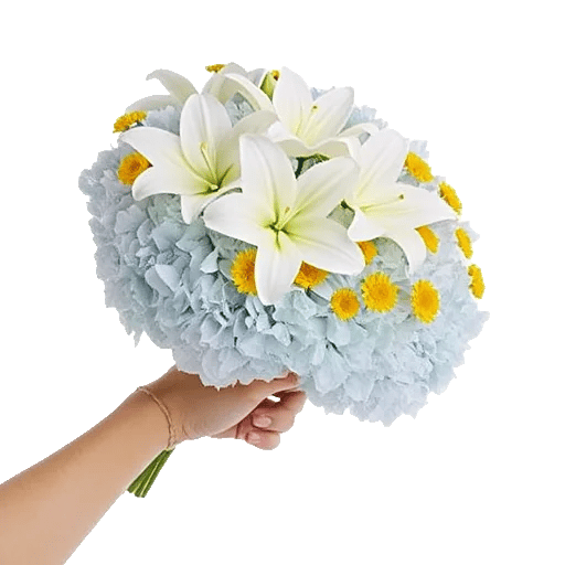 Serene Petal Harmony