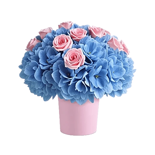 Serene Petal Harmony