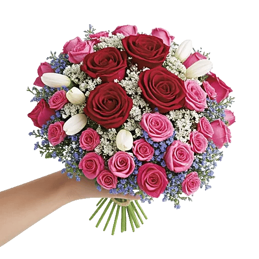 Delicate Petal Cascade
