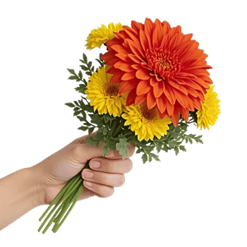 Radiant Bloom Cascade