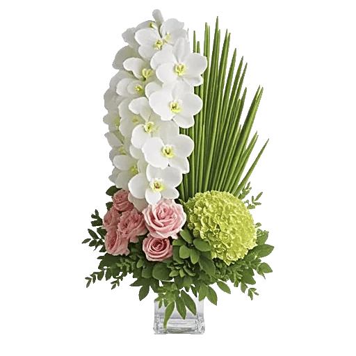 Orchid Bloom Cascade