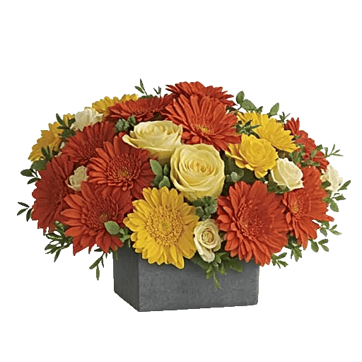 Golden Petal Harmony