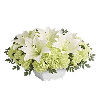 Graceful Lily Display