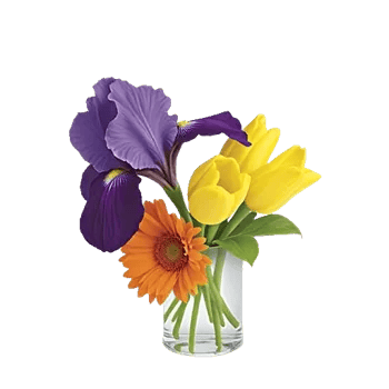 Ivory Blossom Radiance