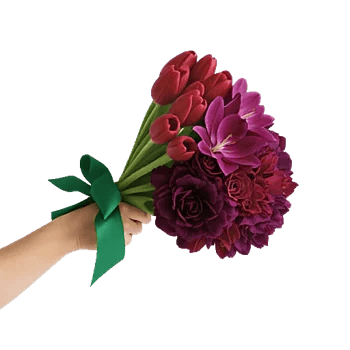 Scarlet Tulip Splendor