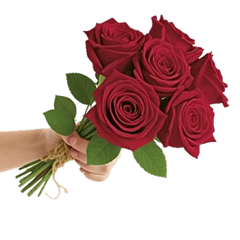 Crimson Rose Elegance