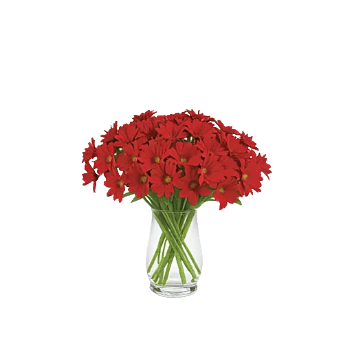 Crimson Blossom Harmony