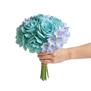 Serene Petal Harmony