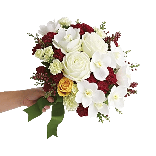 Petal Grace Harmony