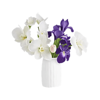 Minimalist White Orchids
