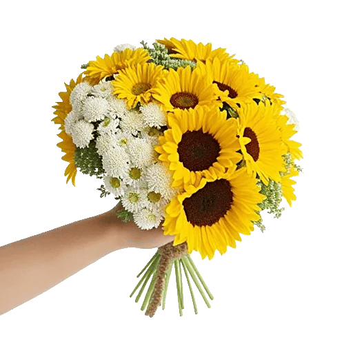 Daisy Meadow Spread