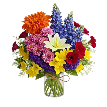 Petal Radiance Bliss