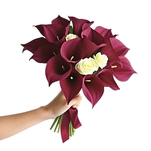 Elegant Calla Lilies