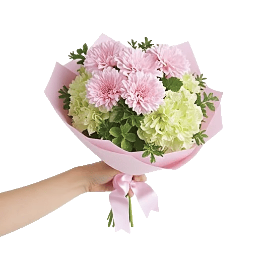 Petal Softness Display