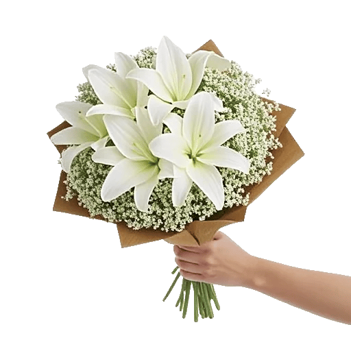 Minimalist White Orchids
