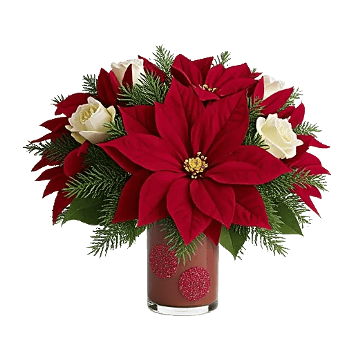 Petal Radiance Bliss