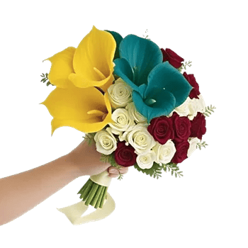 Elegant Calla Lilies