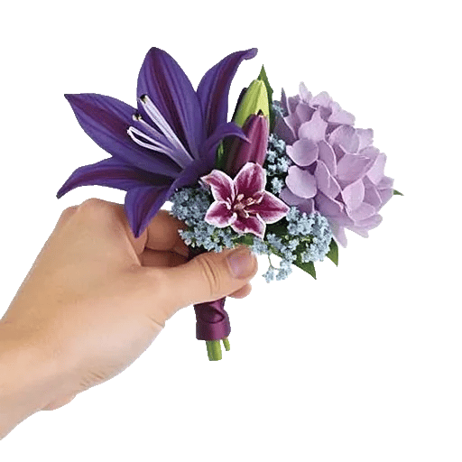 Elegant Calla Lilies