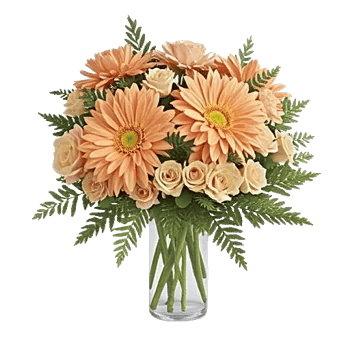 Petal Radiance Bliss