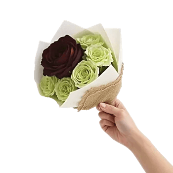 Delicate Petal Cascade