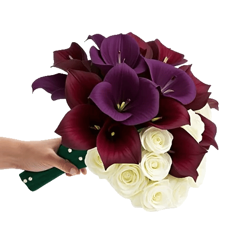 Elegant Calla Lilies