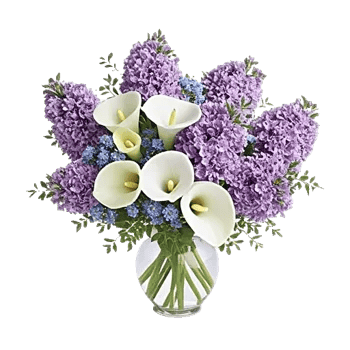 Graceful Lily Display