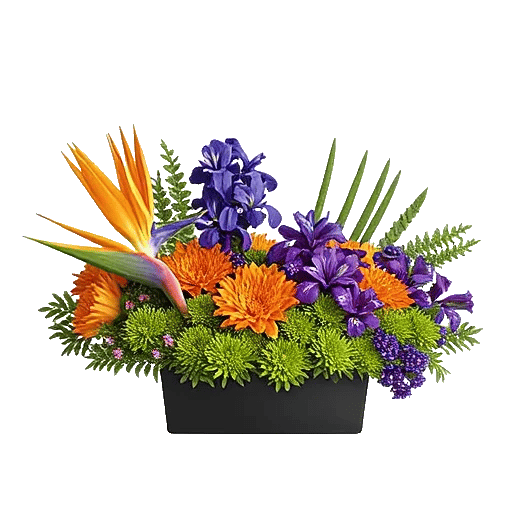 Modern White Orchids