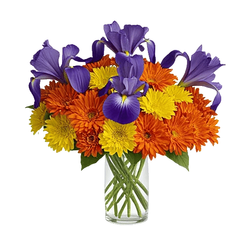 Crimson Blossom Harmony