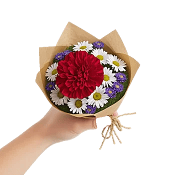 Petal Harmony Bliss