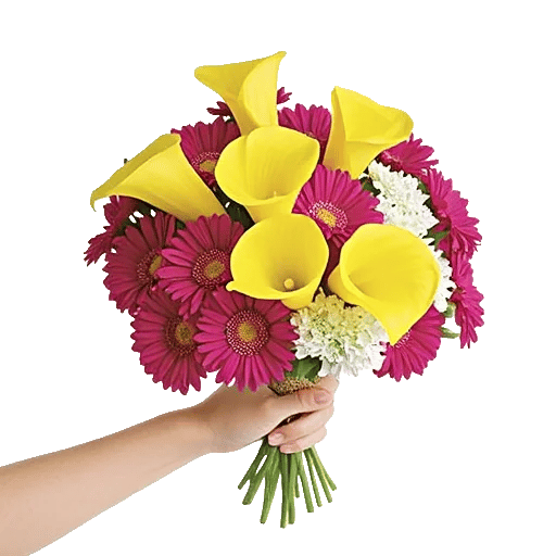 Elegant Calla Lilies
