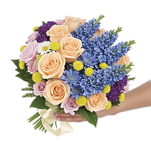 Blossom Petal Serenity