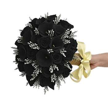 Elegant Calla Lilies