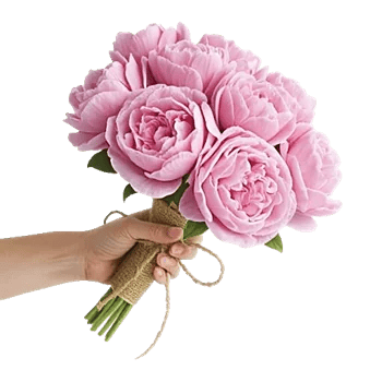 Peony Petal Harmony