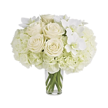 Minimalist White Orchids