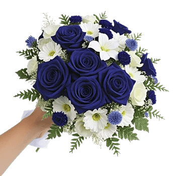 Elegant Blue Roses