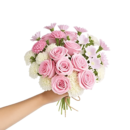 Pastel Pink Roses