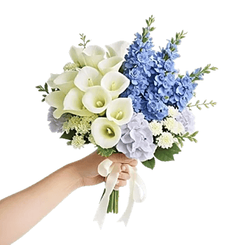 Elegant Calla Lilies