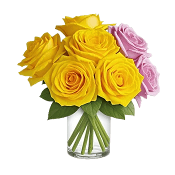 Radiant Rose Symphony