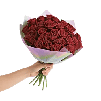 Crimson Rose Elegance