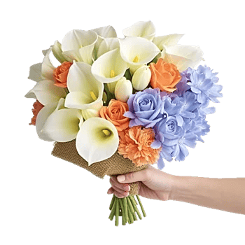 Elegant Calla Lilies