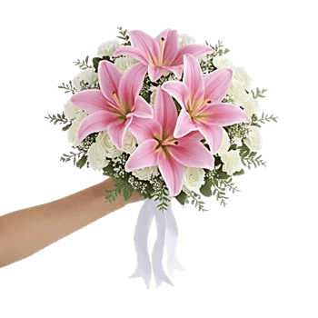 Delicate Petal Cascade