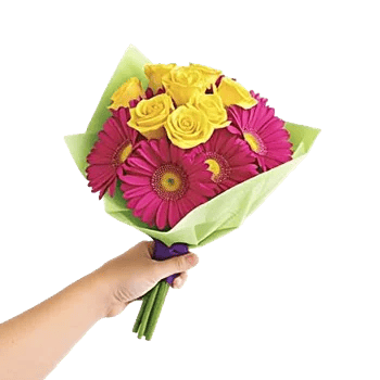 Petal Harmony Bliss