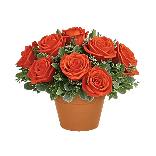 Blush Romantic Centerpiece