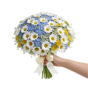 Blossom Petal Serenity