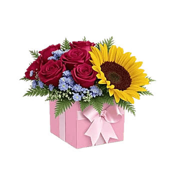 Blossom Petal Serenity