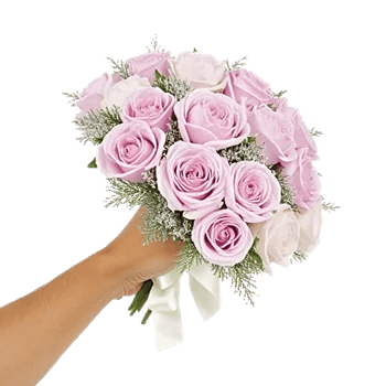 Pastel Pink Roses