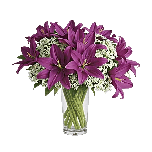 Graceful Lily Display