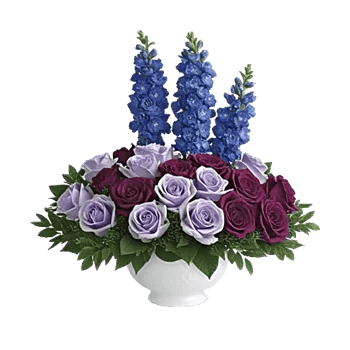Elegant Blue Roses