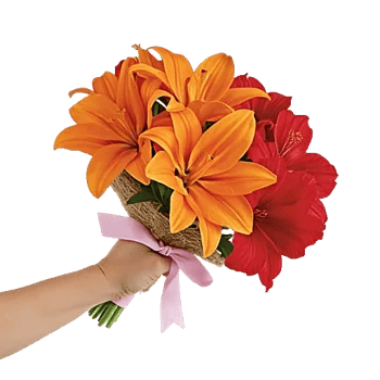 Blossom Glow Symphony